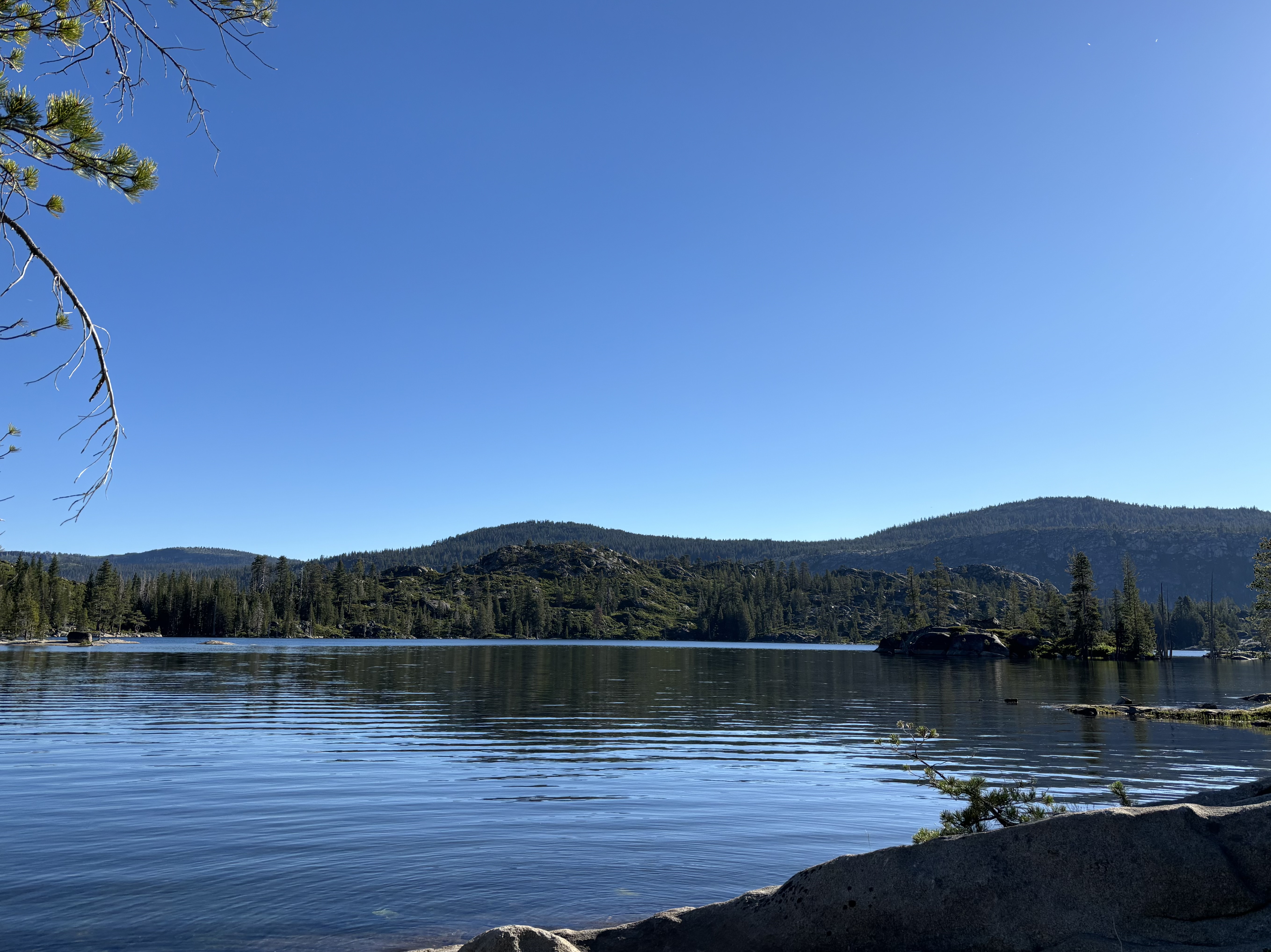 Calm lake landscape